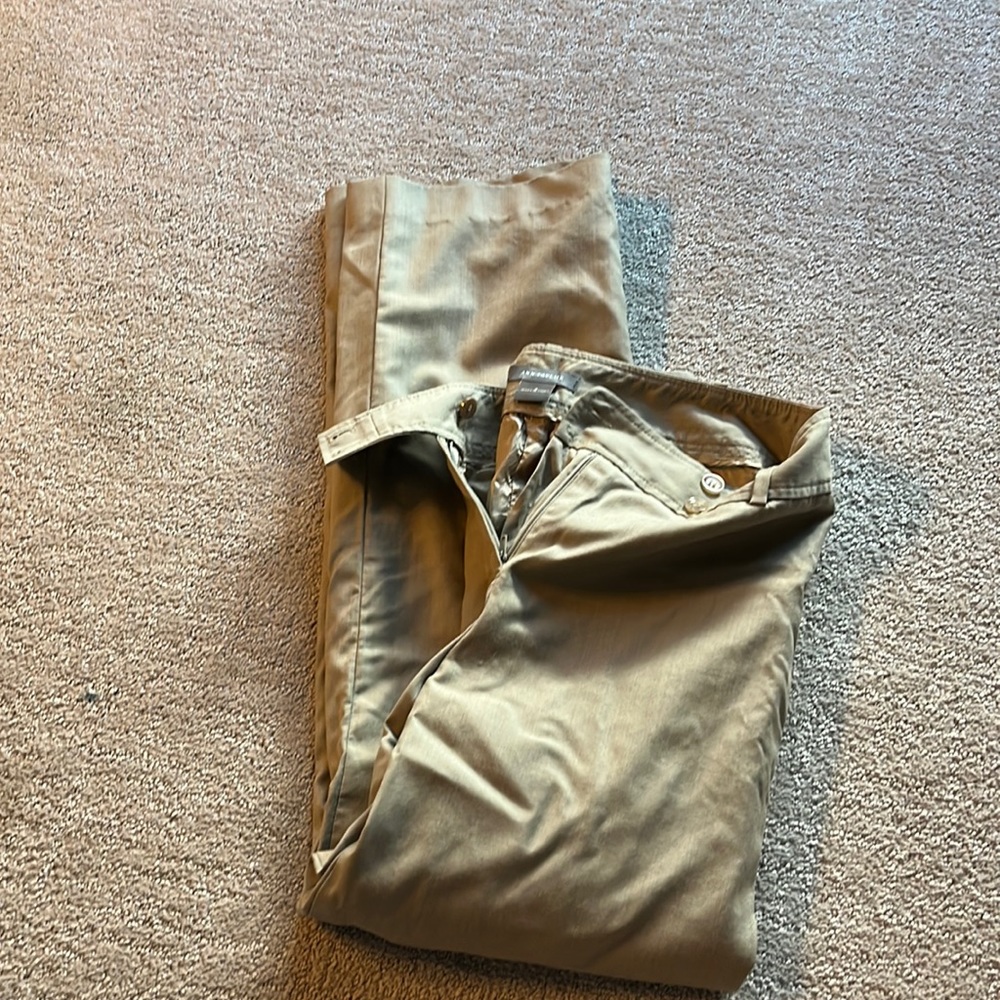 ann taylor pants -